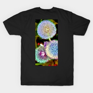 Dandelions T-Shirt